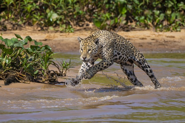 Image: World Photo Adventures