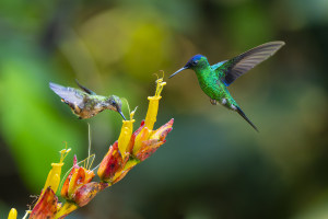 Live the dream with World Photo Adventures