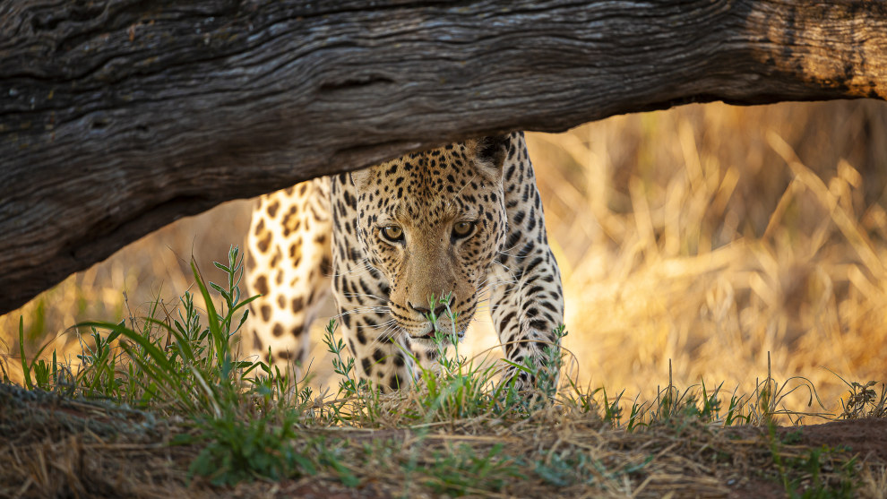 Image: World Photo Adventures