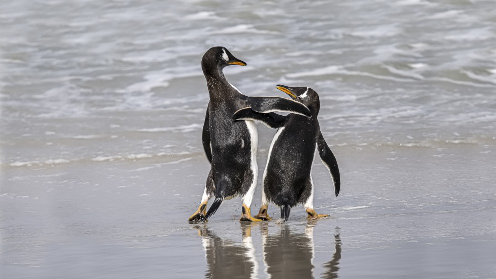Image: World Photo Adventures