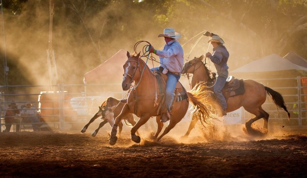 Judge's Choice Winner - 'Clare Rodeo' by Sabin Flutur