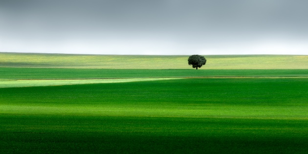 People's Choice Winner - 'Isolation' by Santosh Mitra