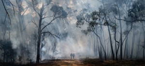 Photographer of the Year: What it takes to win