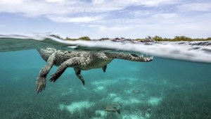Travel Photographer of the Year comp announces 2024 winners
