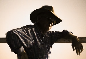 A walk in Cloncurry exhibition celebrates rural QLD