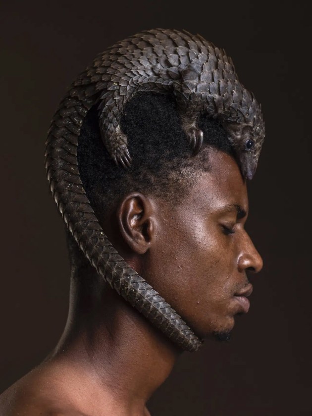 Mauro De Bettio, Italy. Winner, People's Choice
Location: Lagos, Nigeria
“In the bustling markets of Lagos, Nigeria, a man stands as a beacon of hope, courage, and compassion, proudly balancing a pangolin atop his head—a poignant symbol of resilience. This pangolin was rescued from the illegal wildlife trade, an industry that has made Nigeria a hub for trafficking. The United Nations Office on Drugs and Crime (UNODC) highlights Nigeria as a key exporter of pangolin scales, fueling a multimillion-dollar black market. Locally hunted for food and trafficked internationally for traditional medicine and fashion, pangolins face grave threats. This man’s act underscores the urgent need to protect these gentle creatures, whose survival is increasingly endangered by human greed and exploitation.”