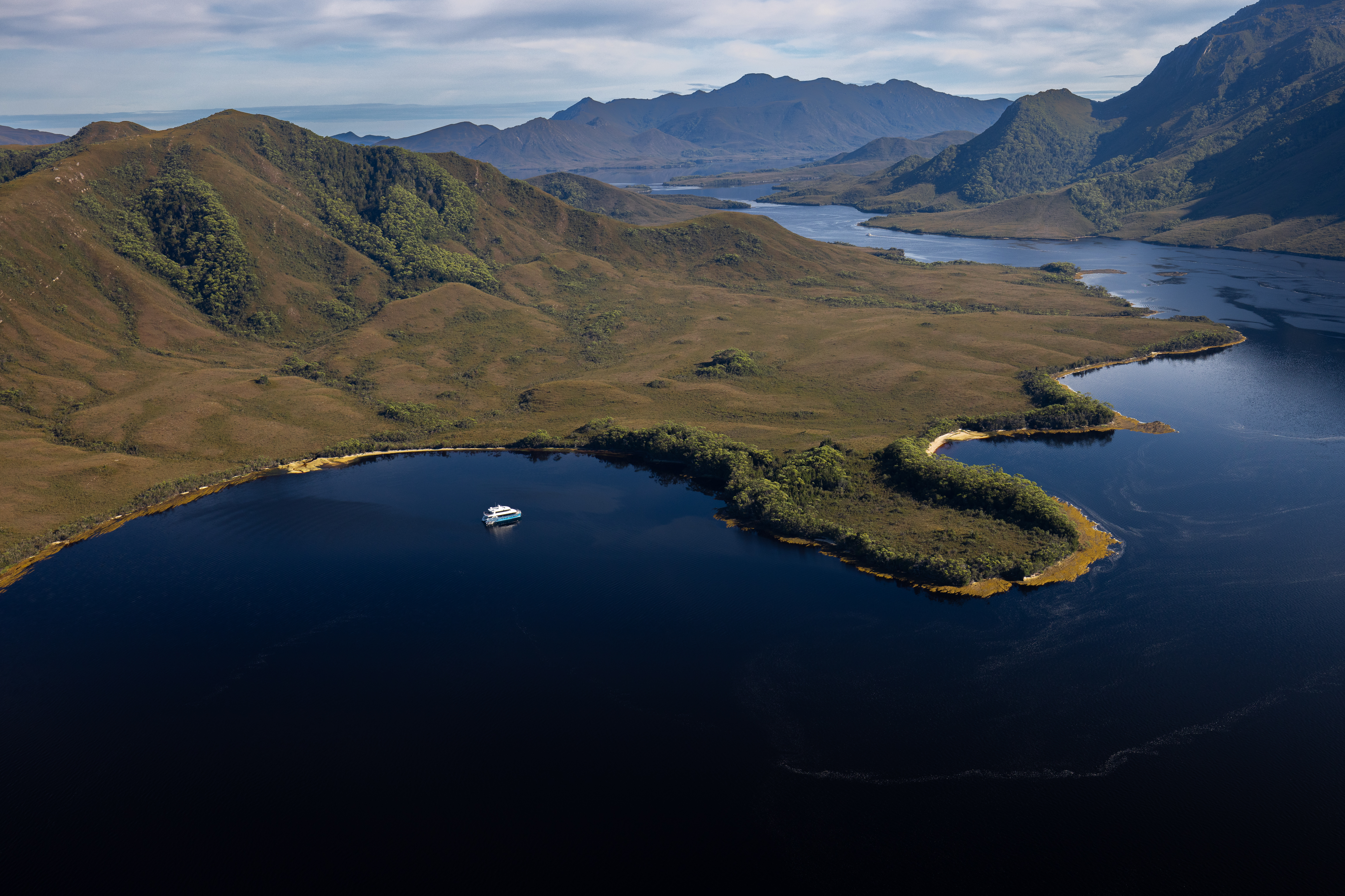 Image: Tim Levy/supplied
