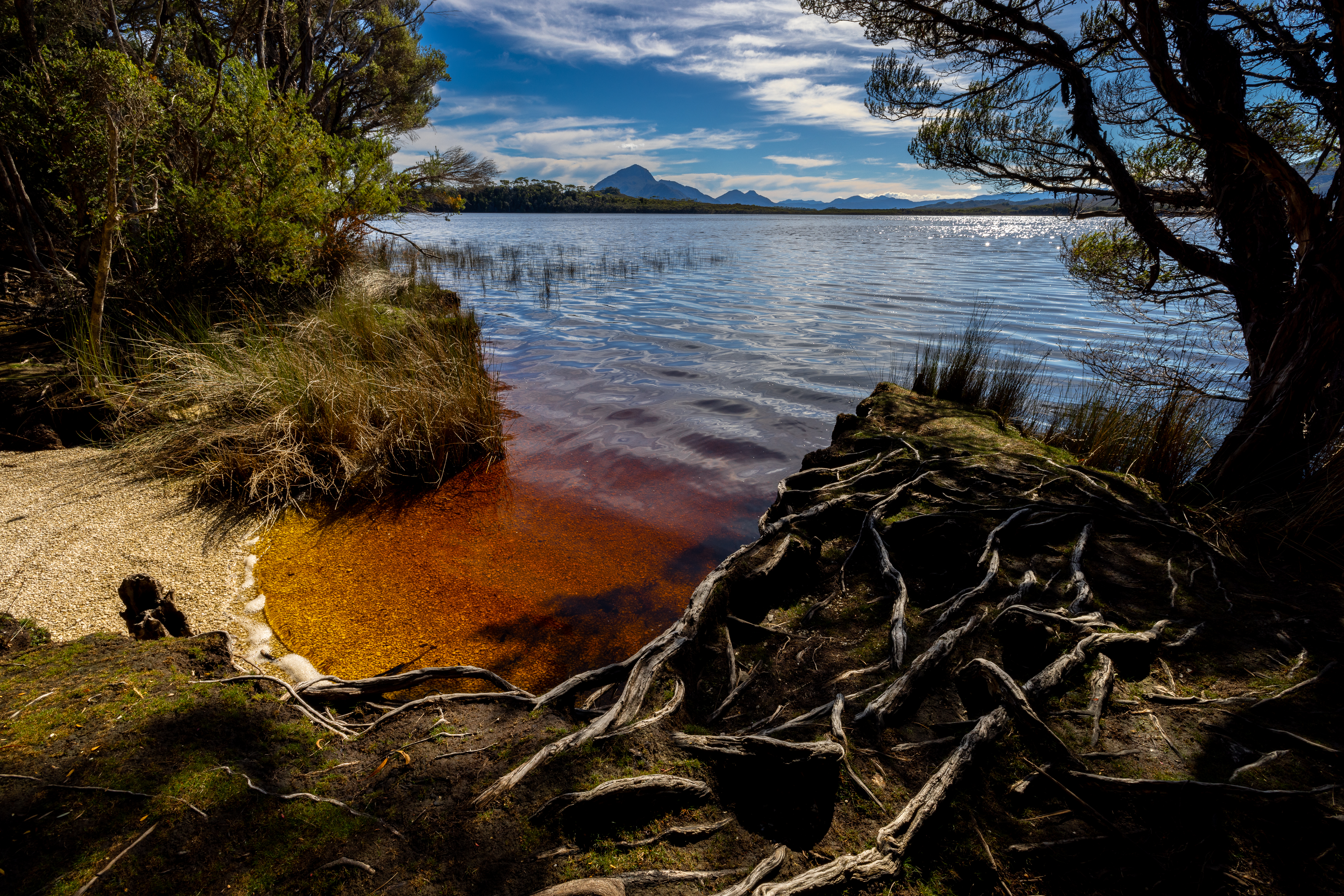 Melaleuca. This area was inhabited by Indigenous people for thousands of years and you can imagine that this location would be one where people would gather for easy access to water. Here, as the tree roots were very close, I judged hyperfocal distance to ensure everything was sharp. You can also use a polariser to see deeper into the red water. When shooting scenes like this, concentrate on shapes and lines (eg. the rounded beach, horizon line). I tried to give the different centres of interest (roots, beach, tree bushes, mountains, and horizon) equal ‘weight’ so that the image seemed balanced. Canon R5, RF15-35mm f2.8L IS USM lens @ 15mm. 1/125s @ f14, ISO 60.