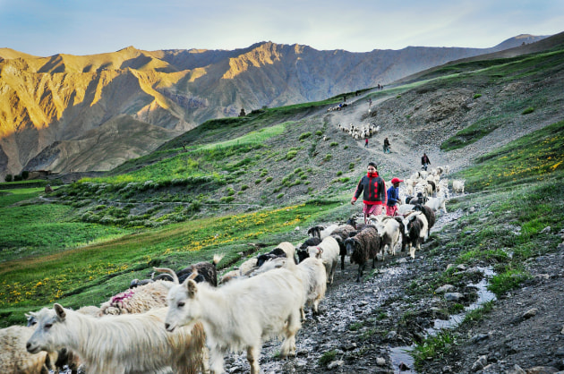 Drunk with power, I totally overcooked the contrast and saturation in this image of the mountains in Lingshet, India. Nikon D90, 22mm. 1/125s @ f11, ISO 800.
