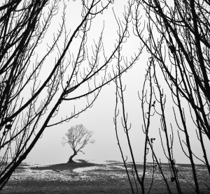 In the judge's chair: Photo tips for judging (part one)