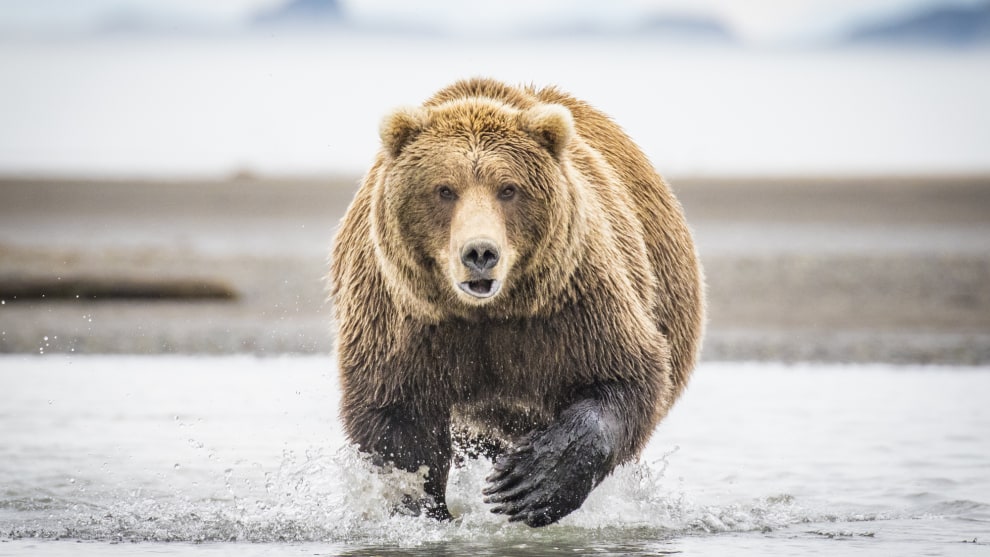Alaska. © Jess Bray
