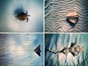 Photographer of the Year: Shooting a great portfolio