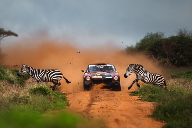 Anton Anestiev, Zebra Crossing.