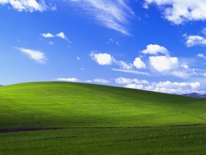 Photographers try to shoot Microsoft’s newest 'iconic' wallpaper