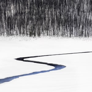 Profile: Aaron Dowling