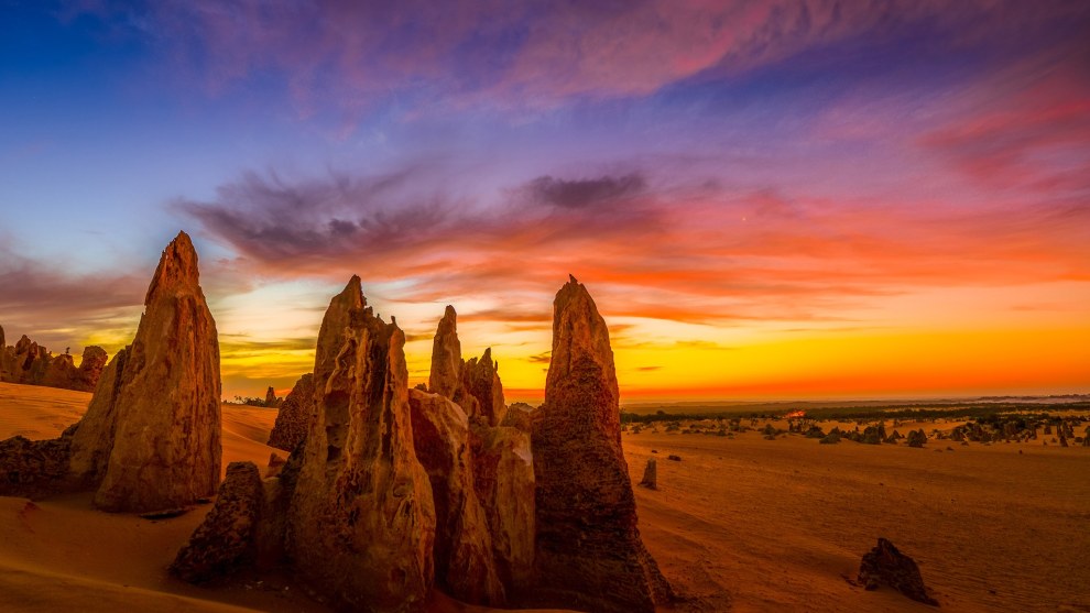 Image: Blue Tongue Tours