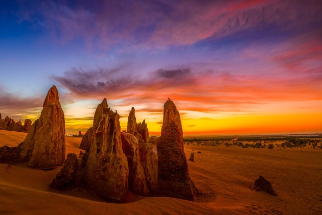 Image: Blue Tongue Tours