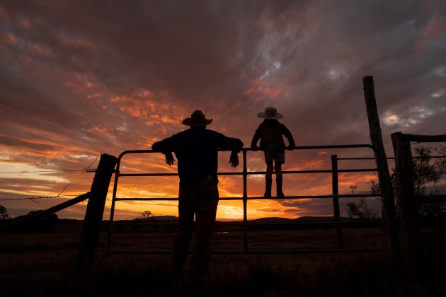 © Brian Elling- 'Nature's Cinema' - Judge's Choice Winner
