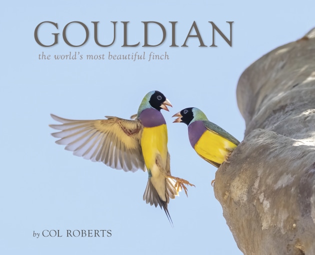 Published by Kimberley Images, Gouldian The world’s most beautiful finch is available now from Nokomis.com.au or via email at 1roberts@tpg.com.au.