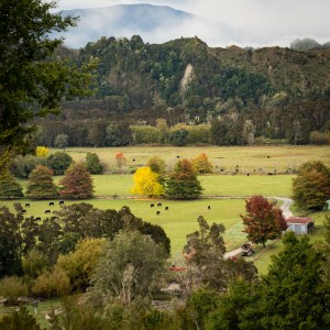 Video: How to make your landscape photos not boring