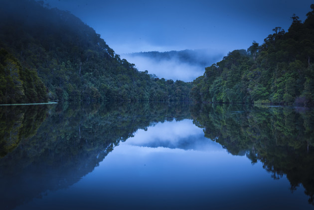 The original image before processing.