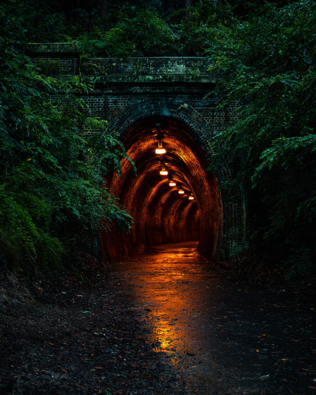 Judge's Choice Winner - 'Overgrown' by Georgia Paul