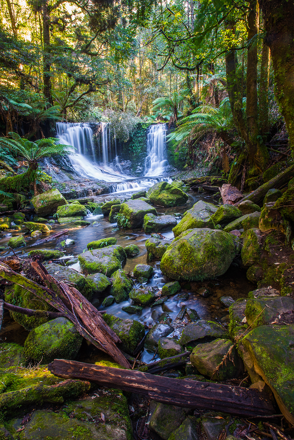 How To: Step by Step Raw Workflow