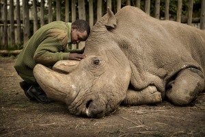 Threshold Conversations: a podcast interview with photojournalist Ami Vitale