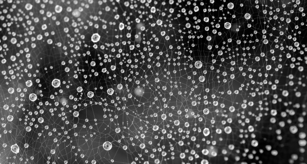© Keith Horton 'Droplets of Water on a Cobweb'