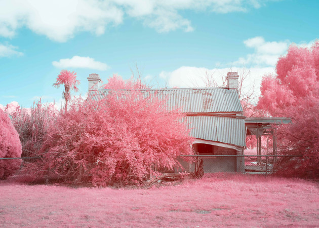 An abandoned house in the gold rush town of Dunolly.
