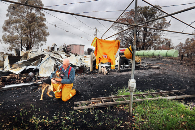 East Gippsland fire affected areas. CFA member Bob Carney, who lost his home in the fire, is comforted by his dogs whose kennel he managed to save in Buchan, Victoria, in January 2020. Canon 1D X Mark II, EF16-35mm f/2.8L II USM lens @ 23mm. 1/800s @ f7.1, ISO 400.
