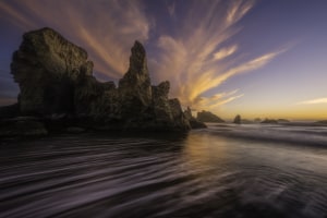 Profile: Hillary Younger