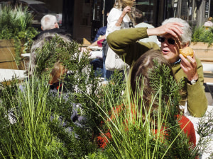Q&A: Martin Parr