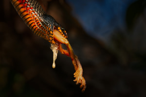 APS Behind the Lens: One Serendipitous Encounter