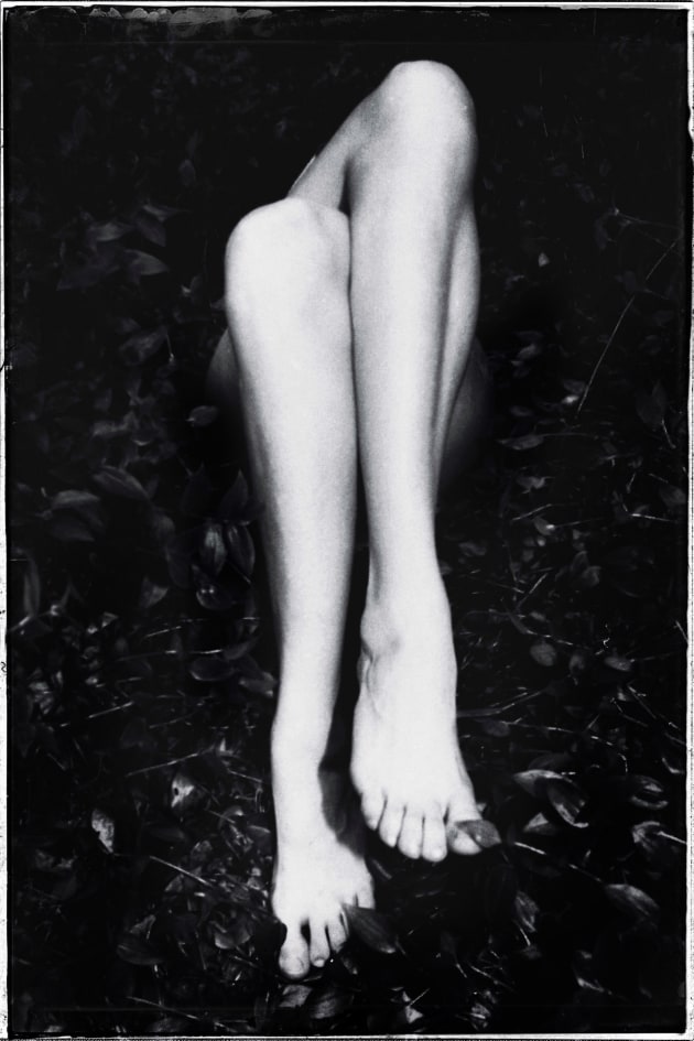 Legs by Ron Pratt