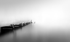 AP's free monthly photo competition December 2024 - the winners!
