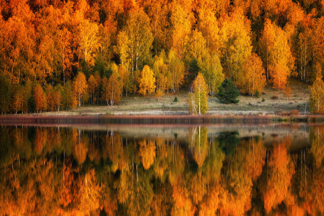 © Tanya Biriukova - Autumn Colours - Judge's Choice