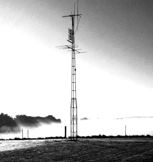 Theresa Mobbs, Misty morning through the wires