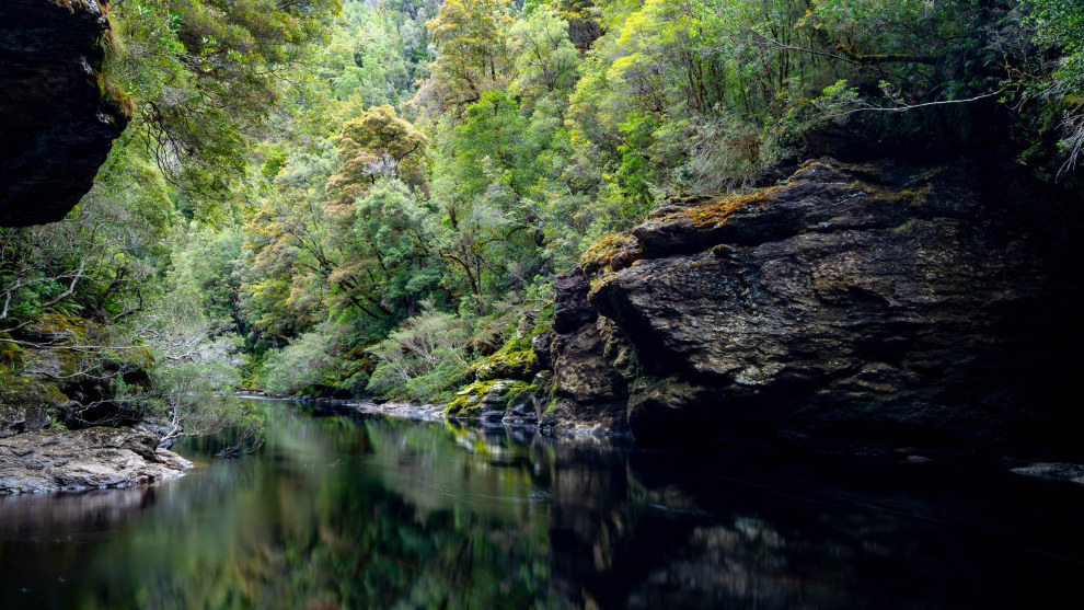 Image: Tom Putt/Supplied