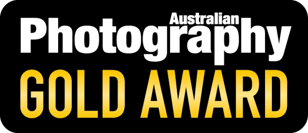 gold award