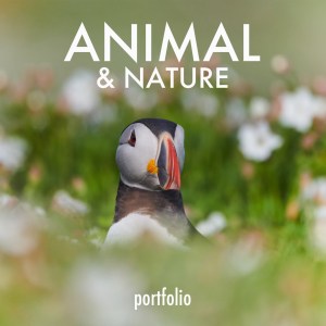 ANIMAL & NATURE 2024
