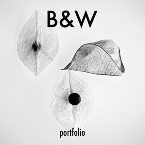 B&W 2024