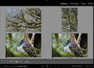 Video: How to use Lightroom's Survey view to quickly review images