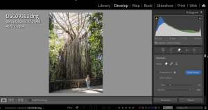 Video: Lightroom's AI Remove Tool: How to get the best from it