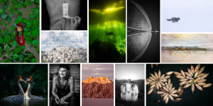 Photographer of the Year 2024 presented by Ted's cameras - The winners!